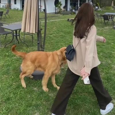传颂之物